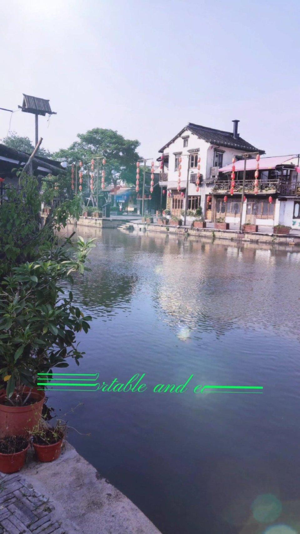 动物帮帮忙保卫家园